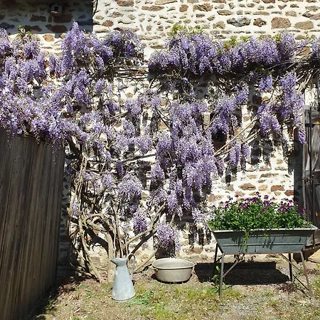 Villa Fermette Dans Les Pays De La Loire Izé Exterior foto