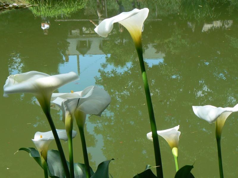 Fermette Dans Les Pays De La Loire Holiday home Ize